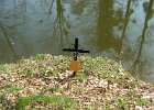 le long du canal - pas d'explication.JPG